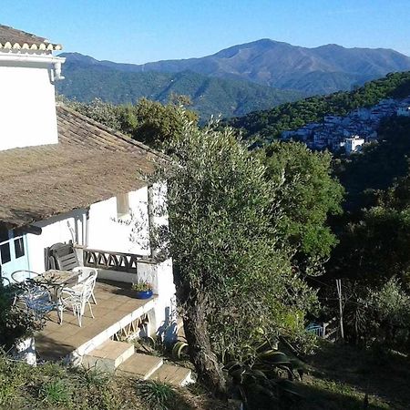 Casa El Chaparral Songbird Mountain Apartment Benadalid Exterior foto