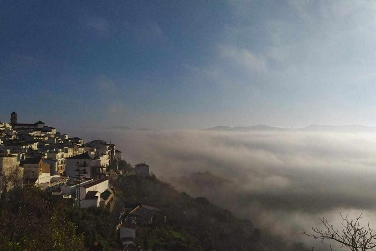 Casa El Chaparral Songbird Mountain Apartment Benadalid Exterior foto