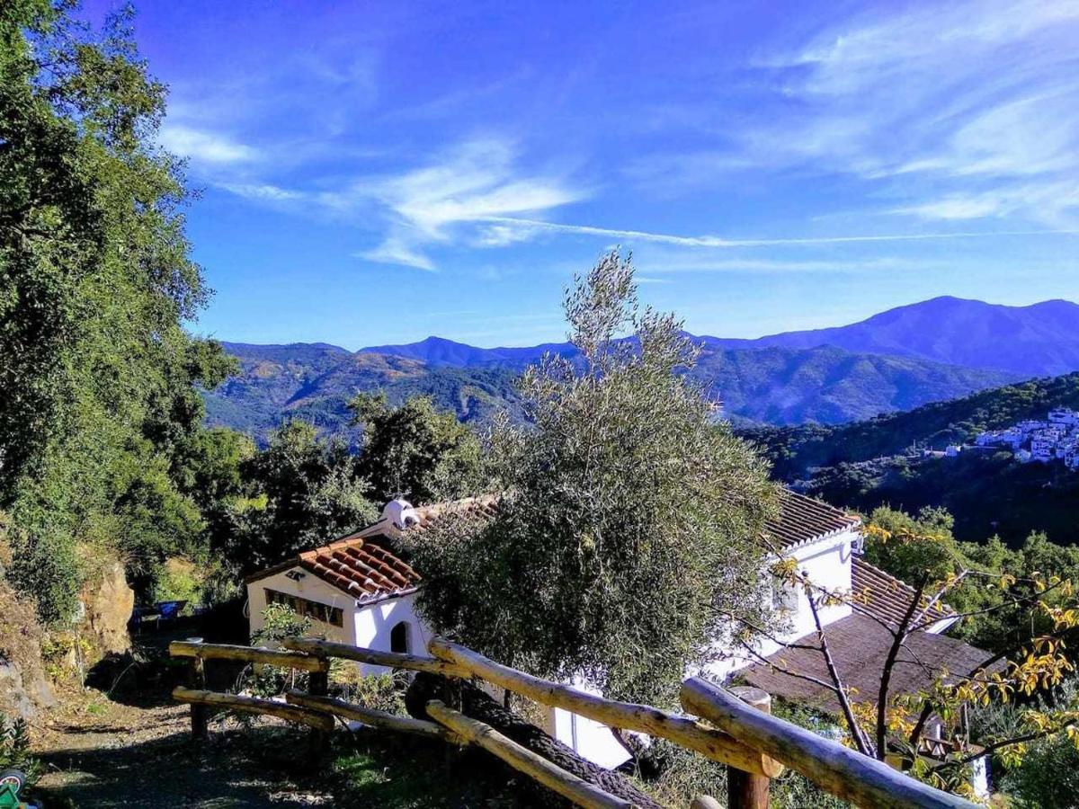 Casa El Chaparral Songbird Mountain Apartment Benadalid Exterior foto