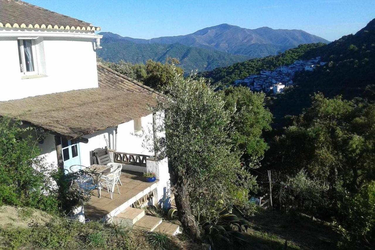 Casa El Chaparral Songbird Mountain Apartment Benadalid Exterior foto