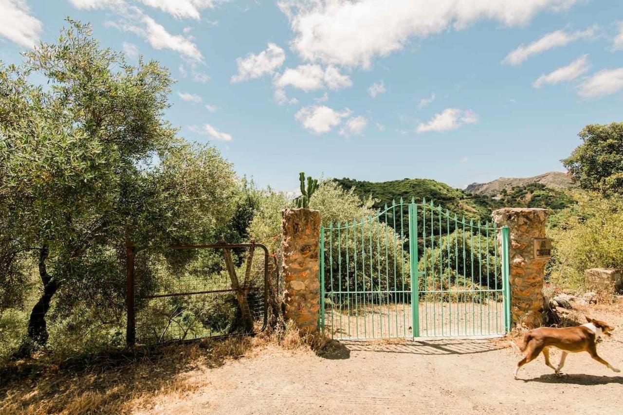 Casa El Chaparral Songbird Mountain Apartment Benadalid Exterior foto